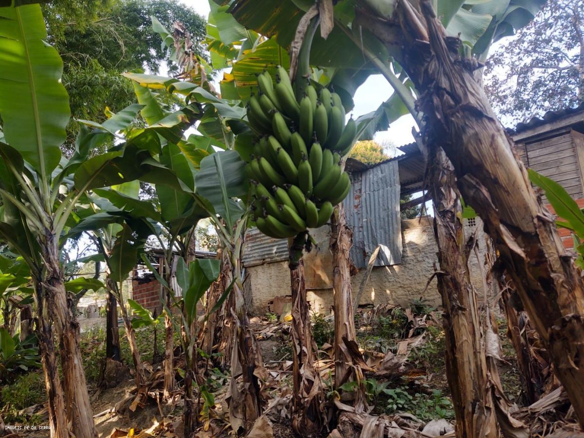 Chácara à venda com 3 quartos, 10800m² - Foto 14